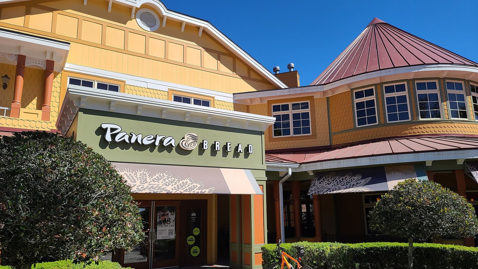 Bakery breads that shape wheat exposure on the Panera allergen menu